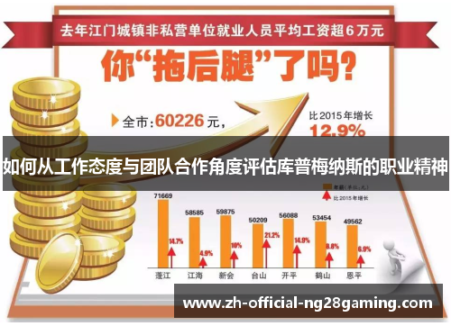 如何从工作态度与团队合作角度评估库普梅纳斯的职业精神