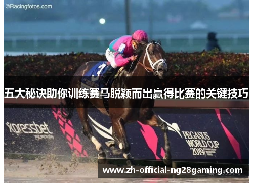 五大秘诀助你训练赛马脱颖而出赢得比赛的关键技巧