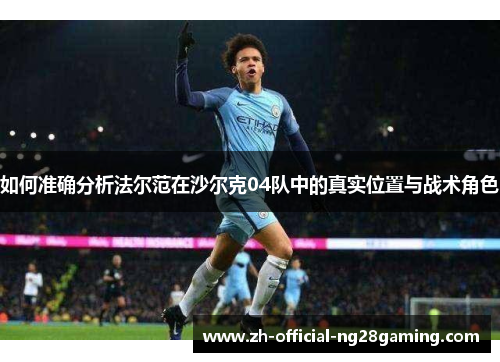如何准确分析法尔范在沙尔克04队中的真实位置与战术角色